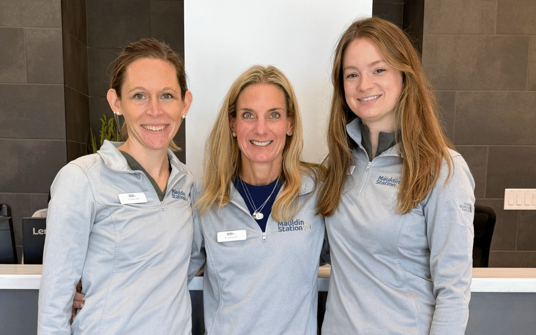 Dr. Hoeft, Dr. Manley, and Dr. Jones - veterinarians at Mauldin Station Vet