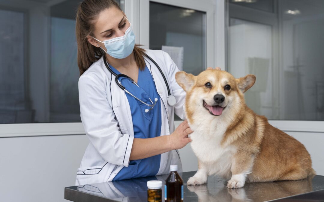 a person wearing a mask and petting a dog